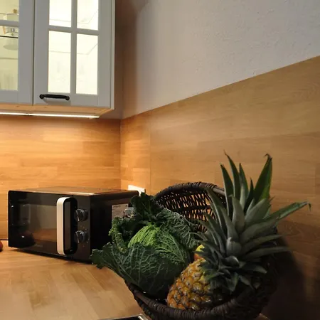 Apartment Herzog *